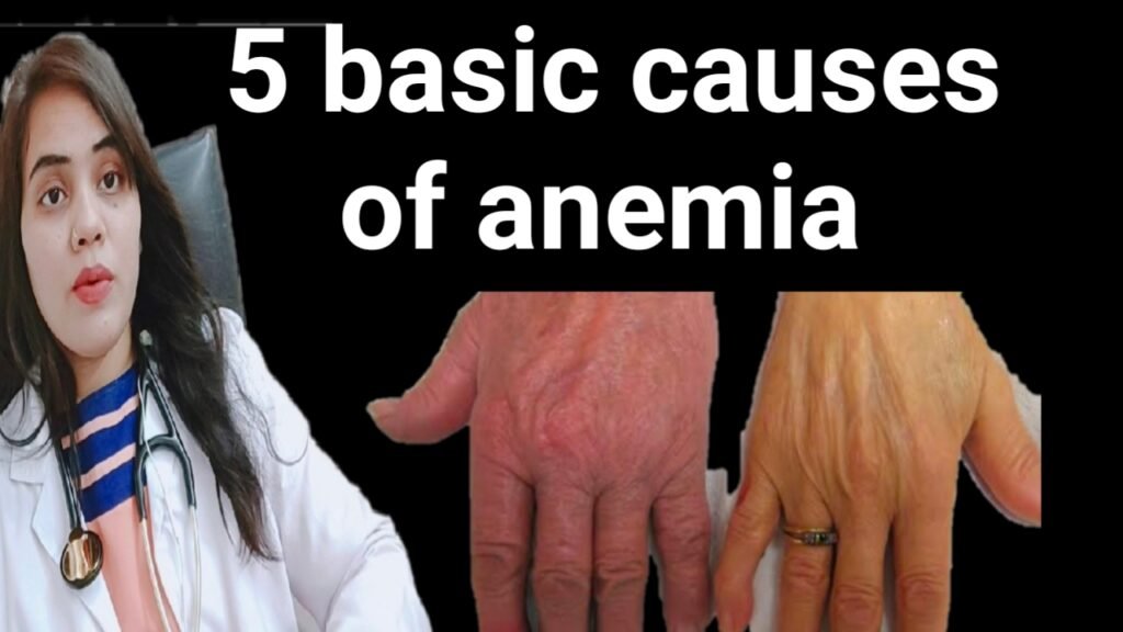 5 basic causes of anemia
