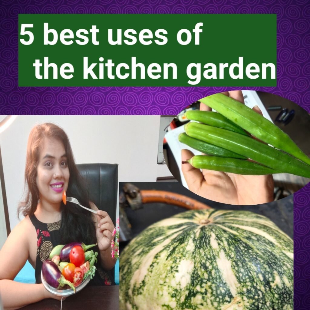 5 best uses of the kitchen garden